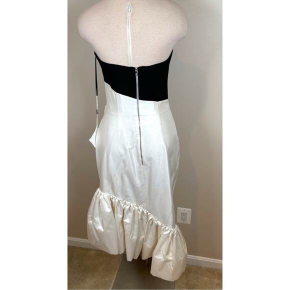 Rasario Ruffled Silk Crepe Corset Strapless Two Tone Asymmetric Midi Dress Sz 4 - Picture 9 of 13